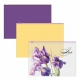 НАБОР  из 3 zip-пакетов пластиковых ErichKrause® Soft Iris, B5, полупрозрачный, ассорти