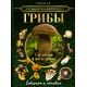 Большая энциклопедия. Грибы. Съедобные и несъедобные. Собираем и готовим.