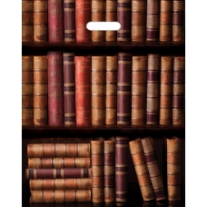 Пакет полиэтиленовый "Стопка книг" (36,5смх48см)  ПП-9967