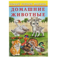 ПУМ. Домашние животные