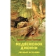 Медвежонок Джонни. Лесные истории (с иллюстрациями)