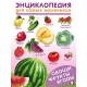 ЭСМ.Овощи, Фрукты, Ягоды
