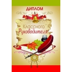Диплом классного руководителя 9-31-0013