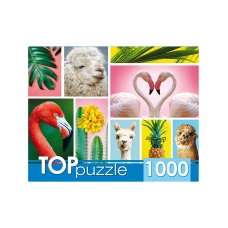 TOPpuzzle. ПАЗЛЫ 1000 элементов. ГИТП1000-4137 Модный коллаж