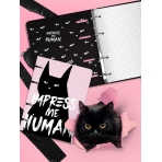 Тетрадь со см.блоком 120 л. А5 кл. на кольцах LOREX WAYWARD CAT тв.обл., soft touch