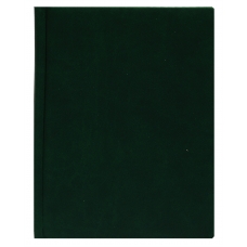 ЕЖЕДНЕВНИК А5, 160л. недатир. ГЛОСС зелёный (160Е-8707) перепл.кожзам