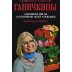 Домашние цветы, за которыми легко ухаживать