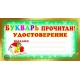 ШМ-8077 Мини-диплом Букварь прочитан! Удостоверение