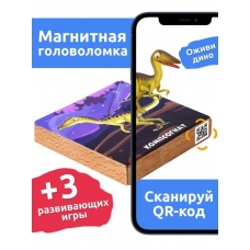 Магнитная головоломка по системе раннего развития /Компсогнат/