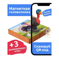 Магнитная головоломка по системе раннего развития /Индюк/
