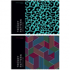 Альбом для рисования 24л., А4, на гребне ArtSpace /Узоры. Pattern on black/ А24сп_44434
