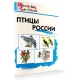 ШС Птицы России