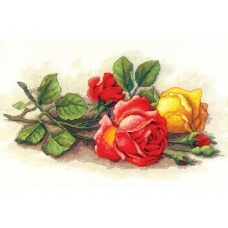 6036-14 Признание