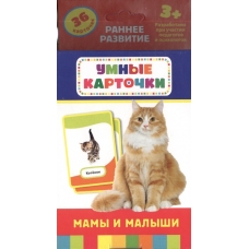Мамы и малыши (Разв. карточки 3+)