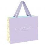 Пакет подарочный 32*26*12см MESHU /Lavender color/, отд. фольгой, матовая ламинация MS_52001 (10131010/050924/5095905/1, Китайская Народная Республика)
