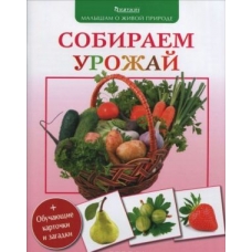 (Малышам о живой природе) Собираем урожай.   (3+)