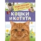Кошки и котята (Энциклопедия для детского сада)