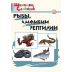 ШС Рыбы, амфибии, рептилии