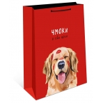 Сумка подарочная 0193.495  260х320х120