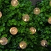 INBLOOM Гирлянда шар на солн. батарее 10LED,4м, шампань, 2 реж, ПВХ зел,2V60Ma,1.2V600mAh (10702070/310122/3038864, Китай)