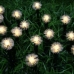 INBLOOM Гирлянда одуван на солн. батарее 20 LED*шампань, 5м, 2 реж, ПВХ зел, 2V60Ma,1.2V600mAh (10702070/280122/3036419, Китай)