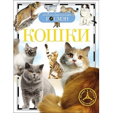 Кошки (ДЭР)