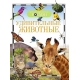 Удивительные животные (ДЭР)