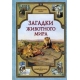Загадки животного мира