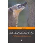 Под пологом пьяного леса