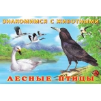 Лесные птицы