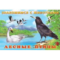 Лесные птицы