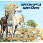Приключения жеребенка
