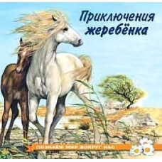 Приключения жеребенка