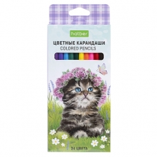 Карандаши цветные /ECO/ 24 цв. -Котики бывают разными- заточен.  в карт. короб. с европодвесом